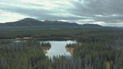 Immense-pine-forest-with-calm-flat-lake-and-distant-mountains-on-cloudy-day,-British-Colombia,-aerial