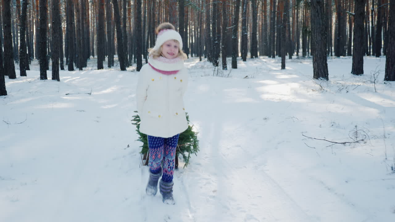 una niña lleva un árbol de navidad en un trineo de madera atraviesa el bosque cubierto de nieve