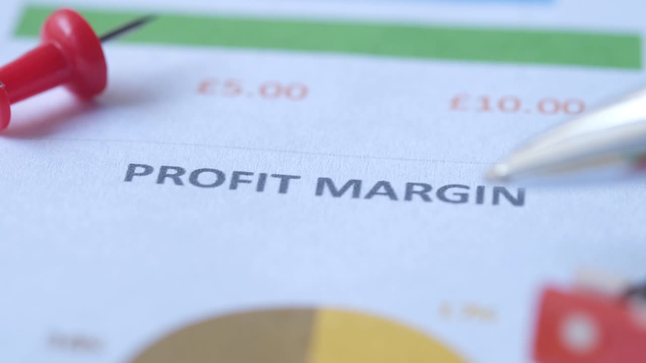 Profit Margin Analysis Report
