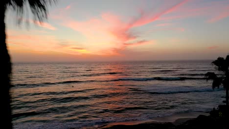 Unglaubliches-Bild-Einer-Drohne,-Die-Zwischen-Zwei-Palmen-Am-Strand-Von-San-Diego-Fliegt