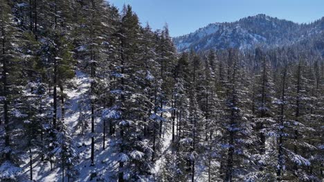 drone view winter is cold and snowy, snow in the mountains sometimes blocks the way