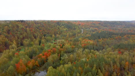 Autumn-Landscape-View-of-the-Gauja-River-by-Forests-Colorful-Bright-Yellow-Orange-and-Green-Trees,-Sunny-Day