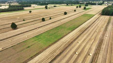 revel in the aerial beauty of straw bales beneath the drone