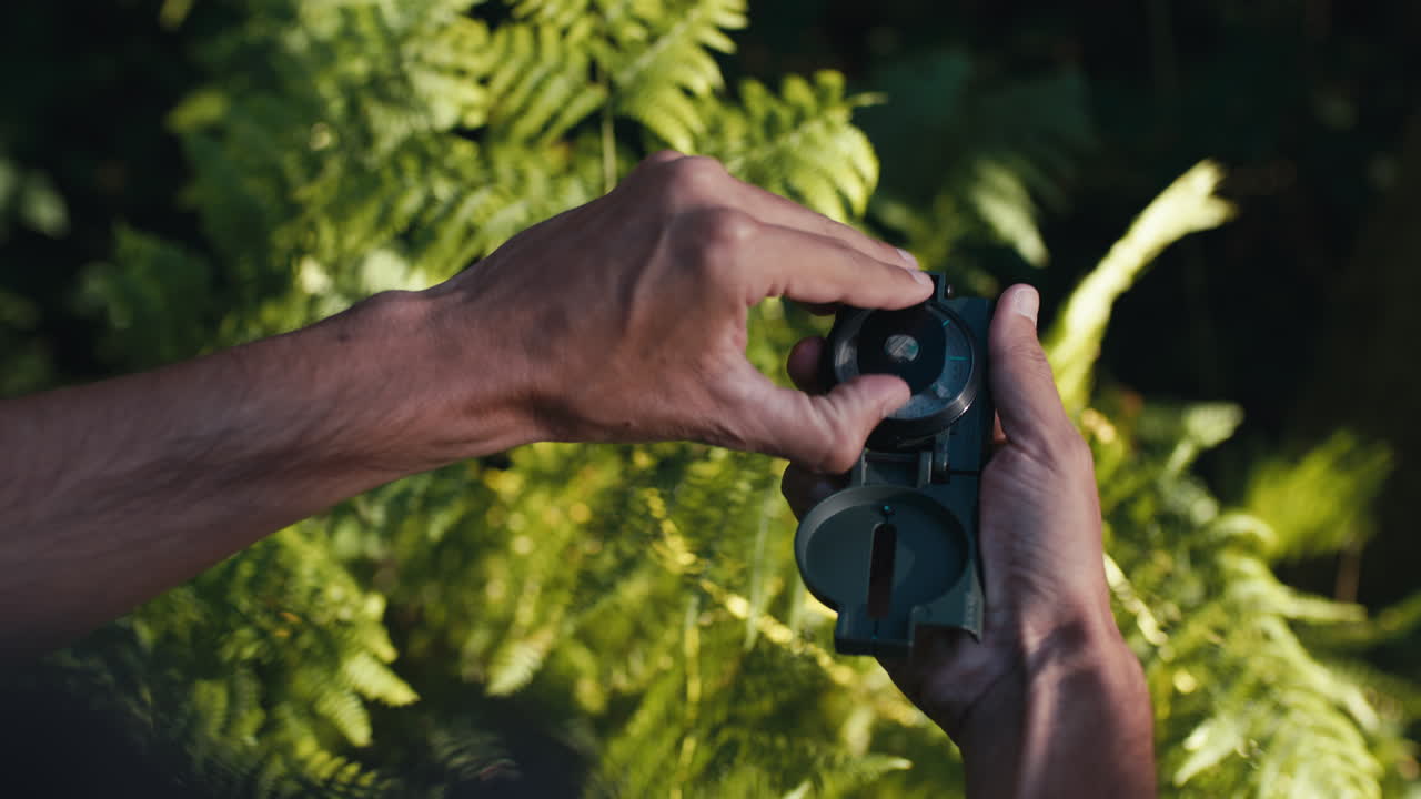 brújula en la naturaleza