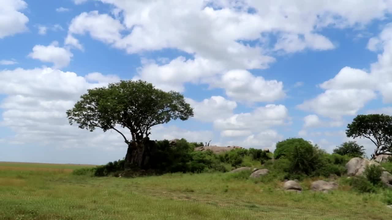 Premium stock video - Moving shot of african savanna with rocks, bush ...