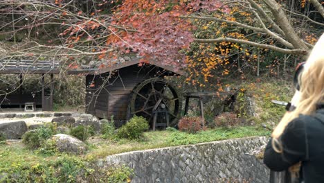 a woman captures the serene beauty of a traditional water mill along the historic nakasendo trail in japan, surrounded by vibrant red autumn foliage.