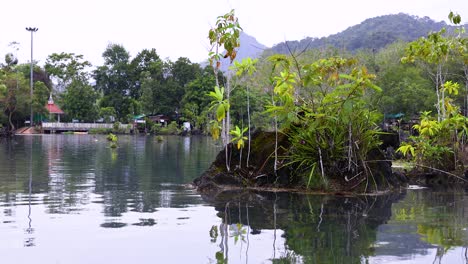 una escena tranquila de kayak a través de un canal de agua clara rodeado de exuberante vegetación en krabi, tailandia