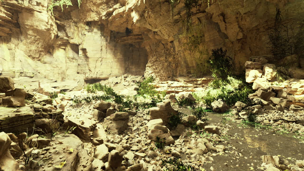 Exploring a lush canyon filled with sunlight and vibrant vegetation