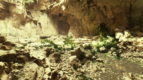 exploring a lush canyon filled with sunlight and vibrant vegetation