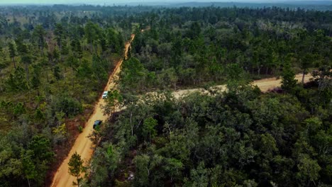 aerial que muestra 2 suvs pasando por un camino de tierra en la reserva forestal de mountain pine ridge en belice