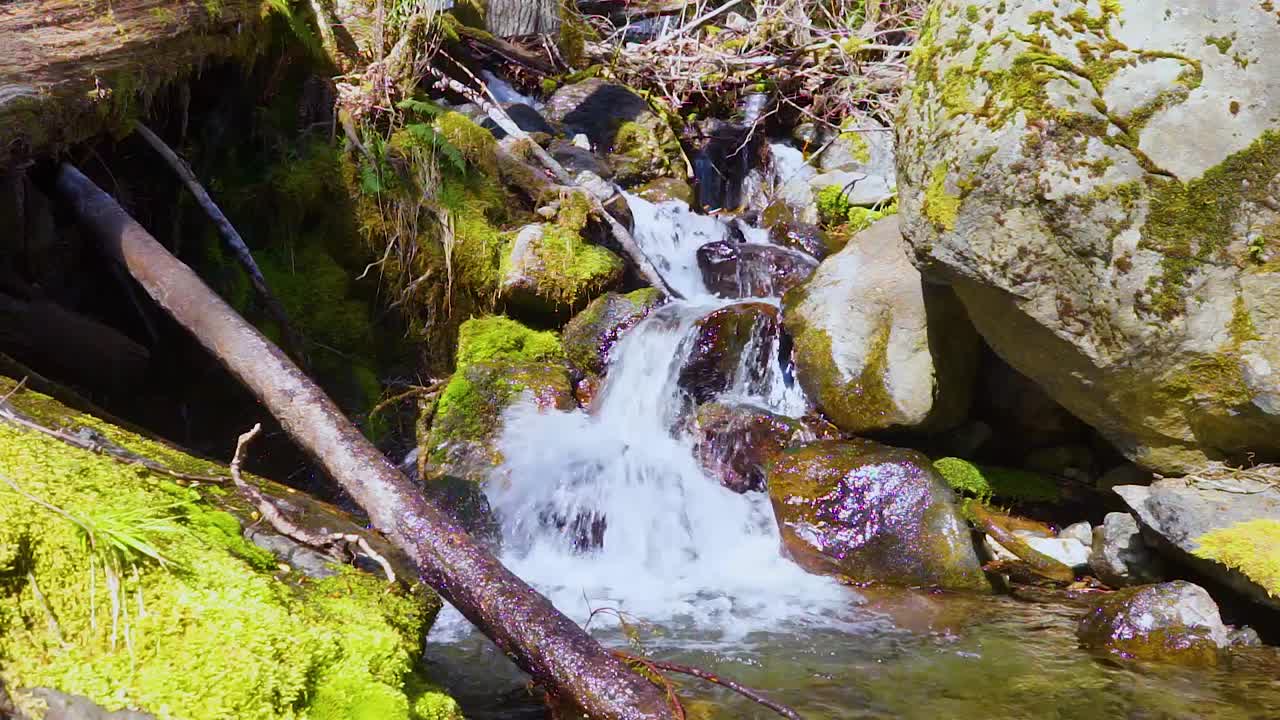 cascada de agua sobre rocas cubiertas de musgo en un cálido día de primavera