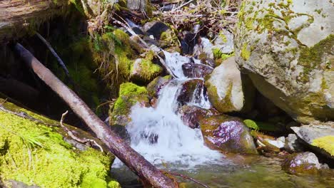 Wasser,-Das-An-Einem-Warmen-Frühlingstag-über-Moosbedeckte-Felsen-Kaskadiert