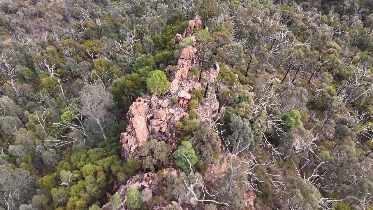 Drone footage glides above a rugged rocky ridge surrounded by dense forest in natural daylight, revealing dramatic terrain and diverse vegetation from a high perspective