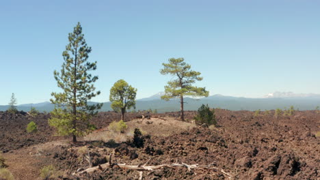 Toma-Aérea-Baja-Sobre-Un-Campo-De-Lava-Endurecida-A-Través-Del-Crecimiento-De-Nuevos-árboles.