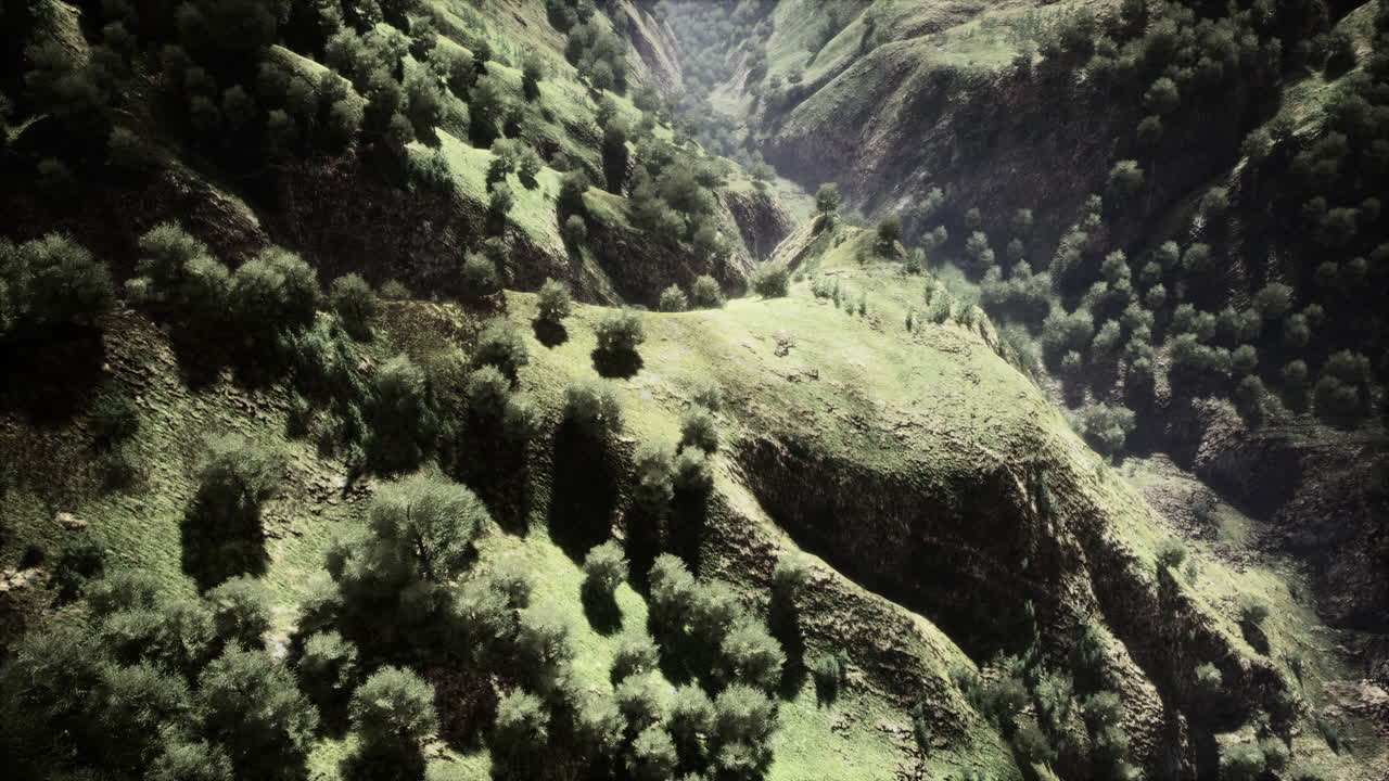 disparo de un arroyo en medio de bosques verdes rodeados de colinas