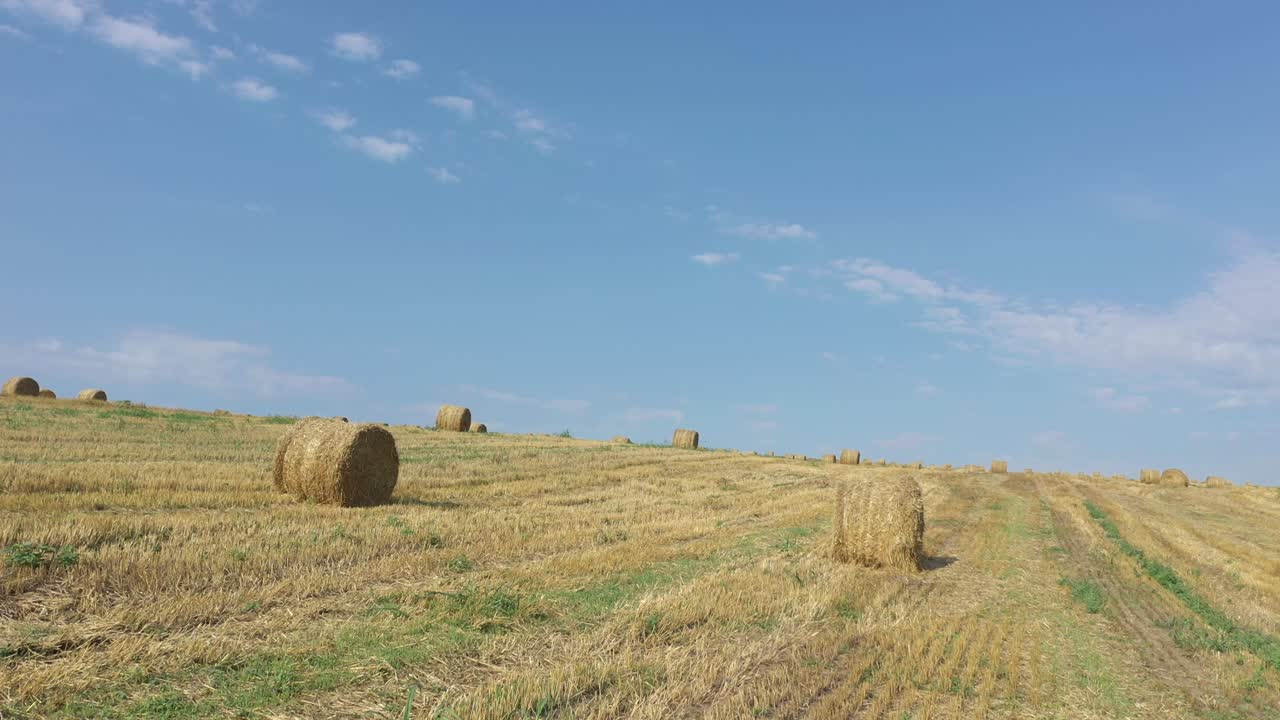 cielo azul sobre el campo de trigo cosechado video de inclinación 4k
