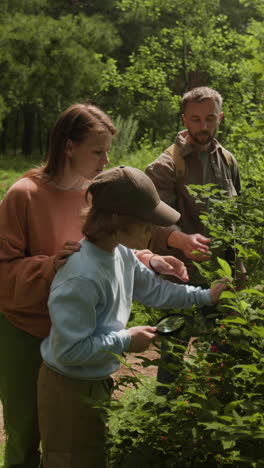 family explores nature in the forest
