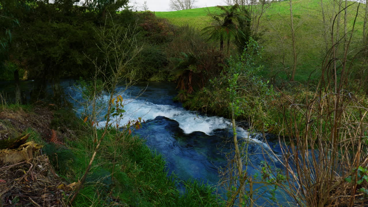 una foto amplia de un rápido en un río en blue sping putaruru, nueva zelanda