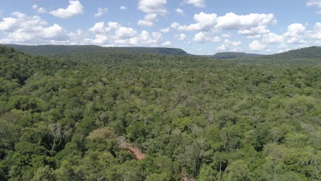 bird's-eye view of the misiones rainforest in argentina