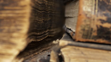 texture of old bible books. close-up