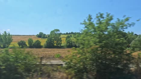 scenic views of fields and greenery from train