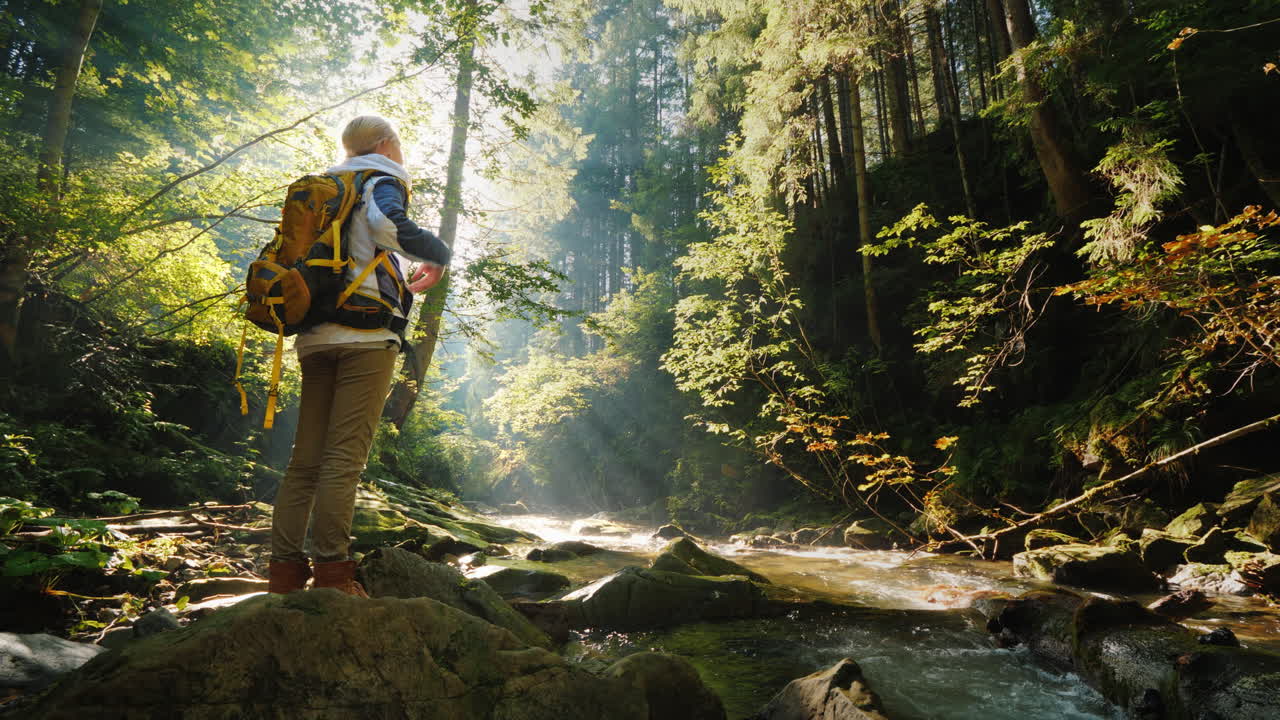 一位背著背包的女人在早晨站在森林中欣賞美麗的景色