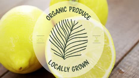 Video-of-organic-produce-locally-grown-text-over-fresh-lemons