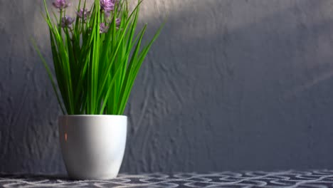 maceta de flores sobre un fondo gris