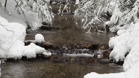 water flowing between snowy trees at kokanee creek provincial park at wintertime in bc, canada