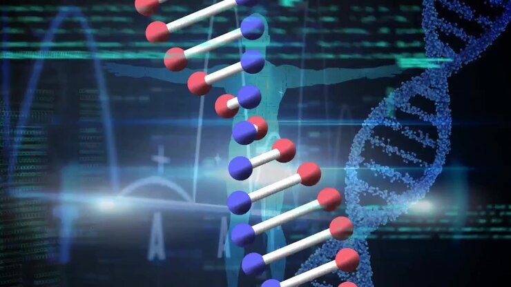 Animation of diverse data processing, human model and dna on black background