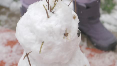 close-up of a snowman's head with twigs