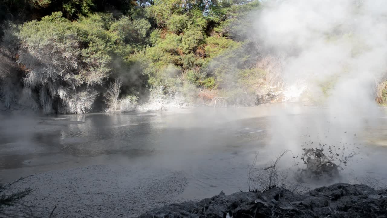 toma estática de grandes burbujas que se elevan dentro de las piscinas de lodo con vapor que se disipa en waiotapu, rotorua, nueva zelanda
