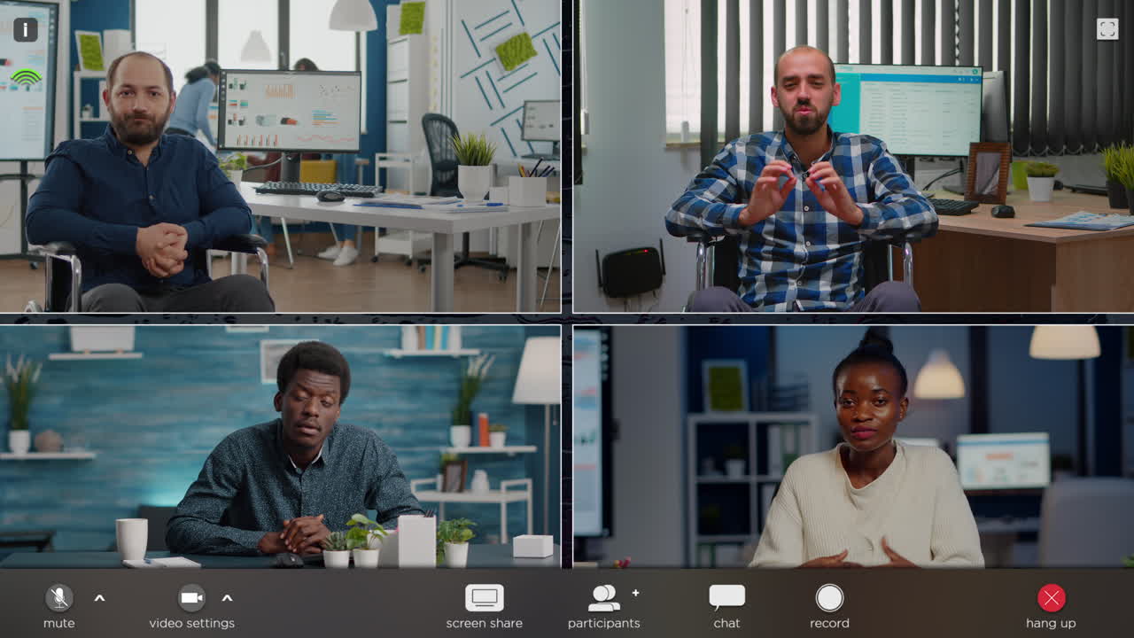 Online Meeting with Diverse Team