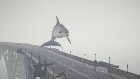 dolphin jumping over bridge in fog