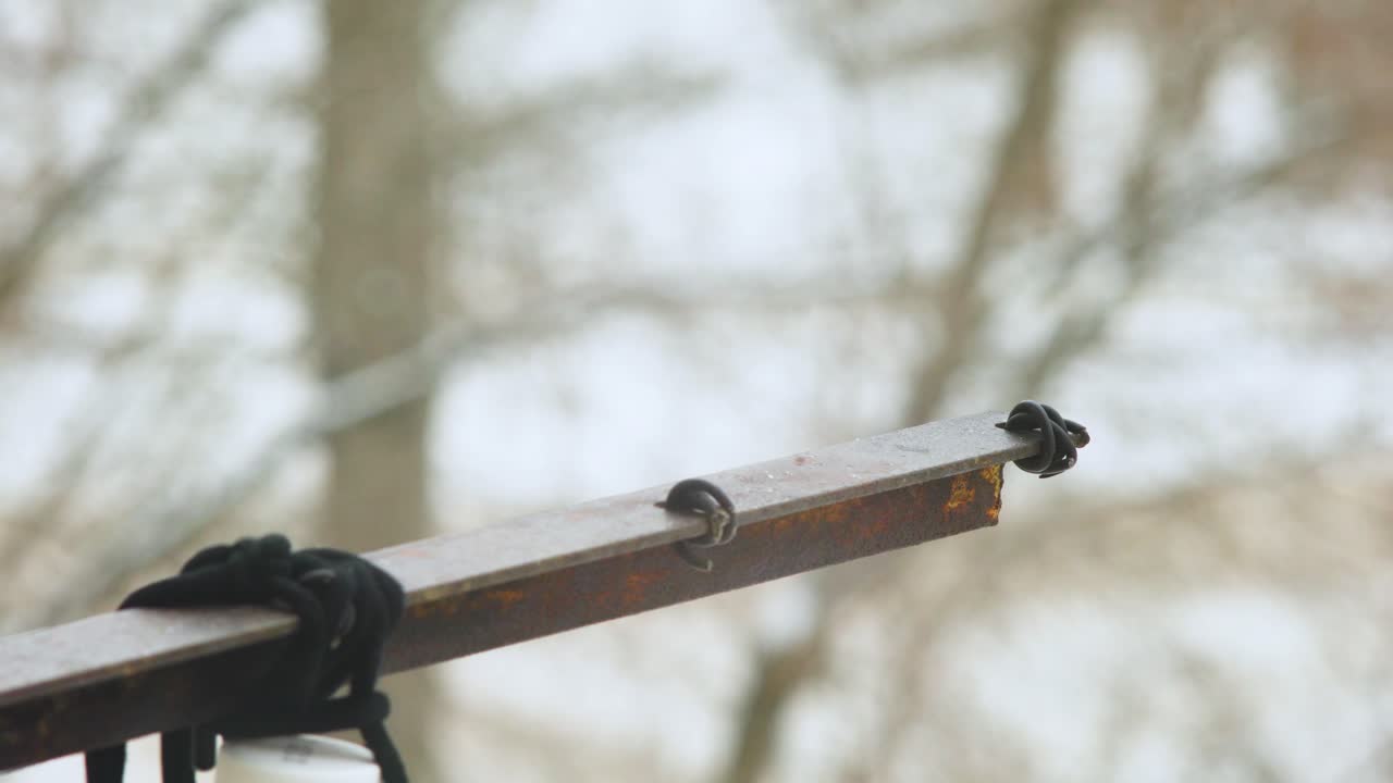 две птицы летают вокруг кормушки в пасмурный зимний день