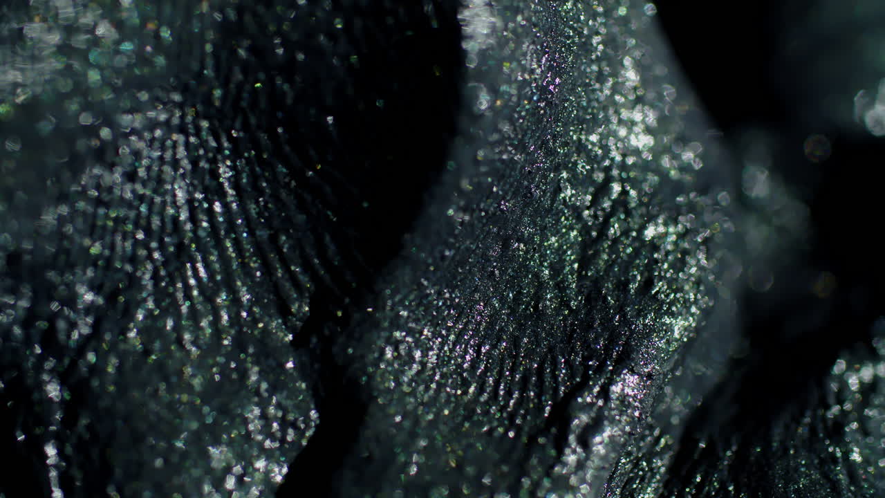 forma gris brillante a medida que se mueve hacia la izquierda y aparece un bokeh a medida que se enfoca y se desenfoca