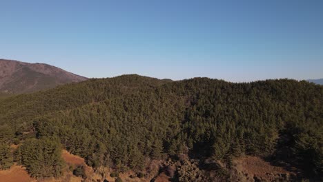 Aerial-of-lush-green-forest-on-hills-around-Namhae,-South-Korea,-sunny-day,-clear-sky