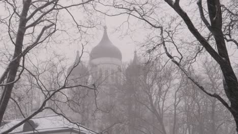 tallinn under heavy snowstorm during winter with othrodox church in the distance and trees in foreground