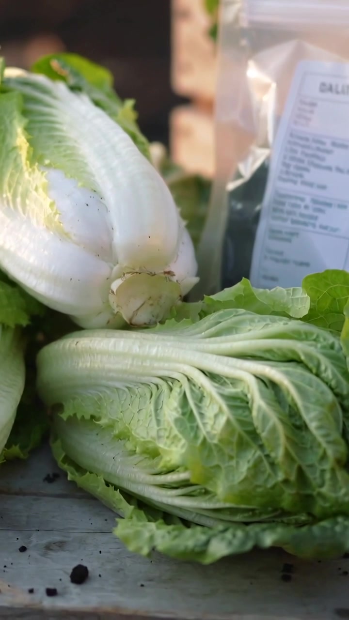 Vertical video: Shifting camera revealing napa cabbages on wood crate, showing bag label for sale
