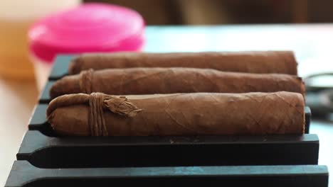 demonstration of production of handmade tabaco cigars