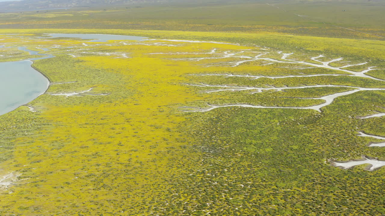 카리조 평야에 있는 소다 호수 (soda lake) 의 공중 풍경