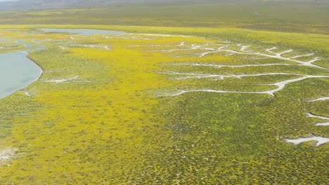 Vista-Aérea-Del-Lago-De-Soda-En-El-Monumento-Nacional-De-Carrizo-Plain