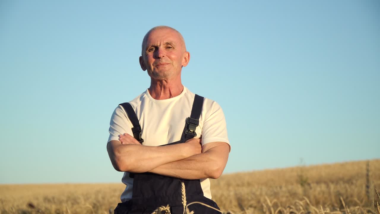 Close up portrait of senior farmer looking to the camera in the golden field on the blue sky background sunny day. Farming and agriculture concept