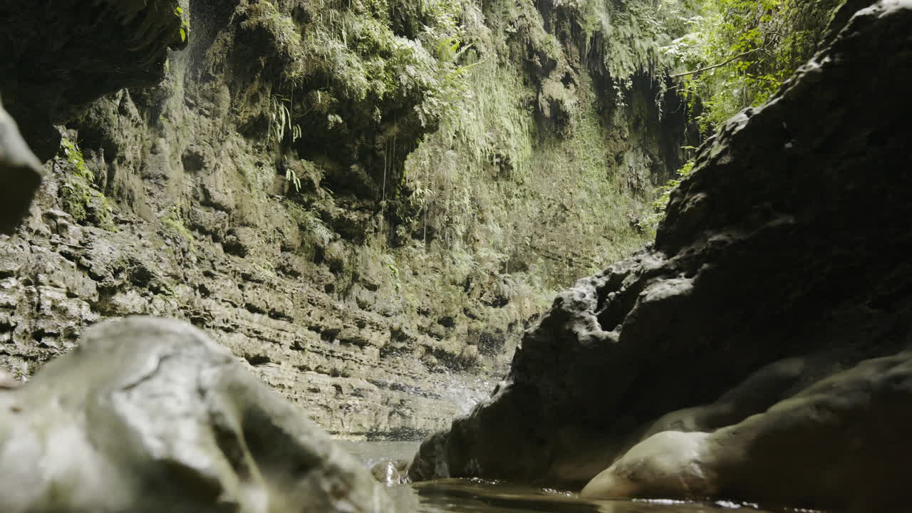 Man Jumping into a Waterfall in a Lush Jungle Canyon