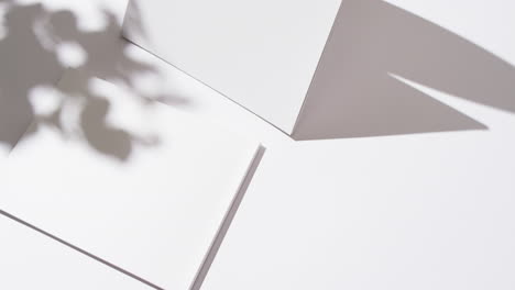 video of shadow of plant over books with blank white pages and copy space on white background