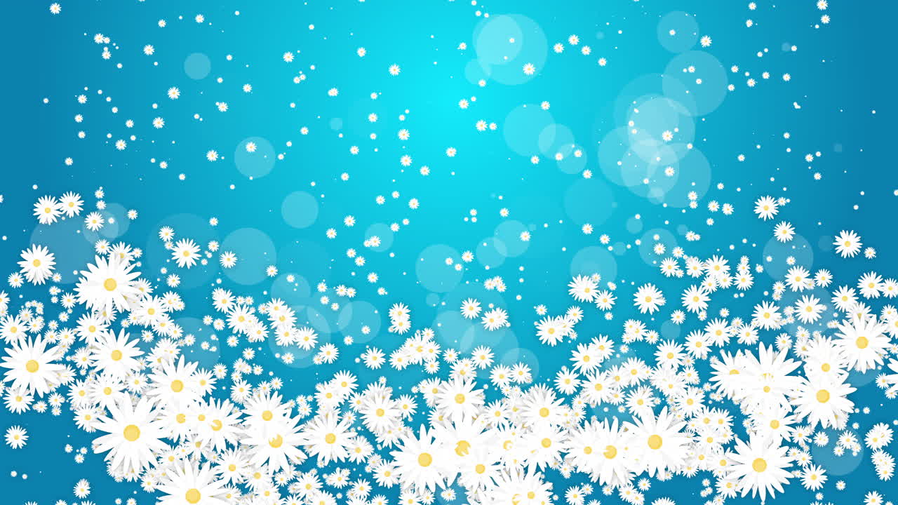 Frame white daisies on blue abstract summer background. Chaotic rotation of floral elements. Looped animation.