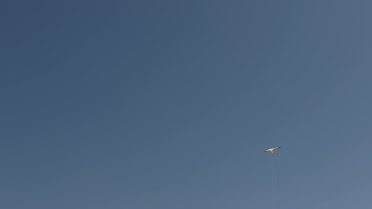 Cometa al viento en la playa de Altura.