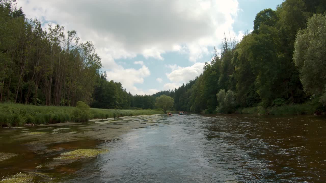 Gruppe von Paddlern, die die Moldau hinunterfahren, umgeben von Wäldern.