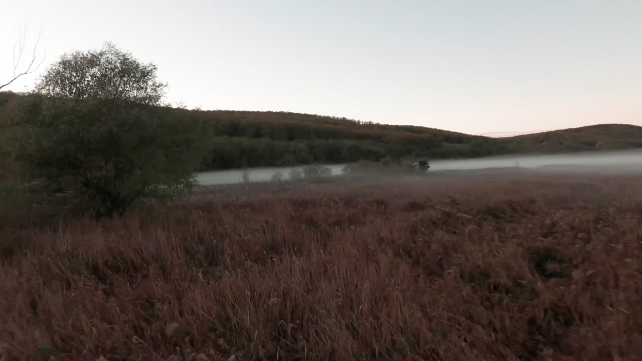 Aerial drone footage captures misty wetlands near Hungary's Lake Balaton