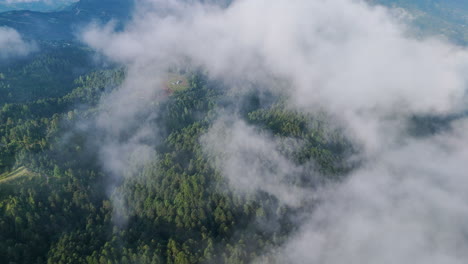 aerial view of clouds above lush green pine tree forests in the hills of dolakha sailung, nepal landscape features dense forests and majestic mountains, showing the beauty of nepal’s greenery